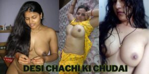 देसी चाची की जमके चुदाई की - desi chachi ki chudai